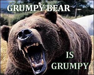 Click image for larger version

Name:	grumpy-bear.jpg
Views:	334
Size:	63.1 KB
ID:	280