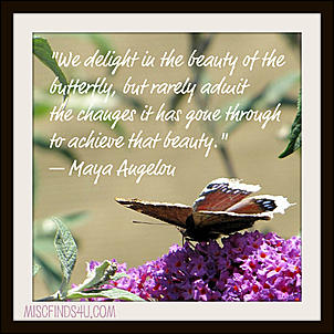 Click image for larger version

Name:	mayangelubutterly.jpg
Views:	1071
Size:	56.1 KB
ID:	303