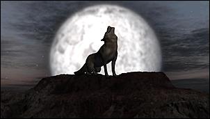 Click image for larger version

Name:	Jane@ full moon.jpg
Views:	353
Size:	23.6 KB
ID:	719