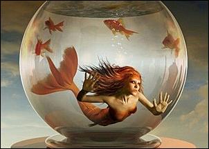 Click image for larger version

Name:	caught in a bowl.jpg
Views:	1098
Size:	20.4 KB
ID:	796