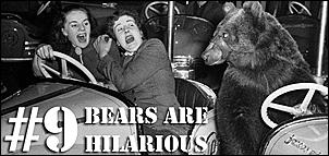 Click image for larger version

Name:	funny_bears.jpg
Views:	1042
Size:	47.5 KB
ID:	301