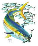 yellowtailkingfish's Avatar