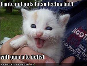 Click image for larger version

Name:	teeth.jpg
Views:	129
Size:	18.8 KB
ID:	814