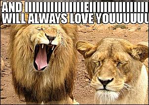 Click image for larger version

Name:	Lion-I-Love-You-Roar.jpg
Views:	189
Size:	60.0 KB
ID:	451