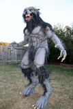 Darkwolf3046's Avatar